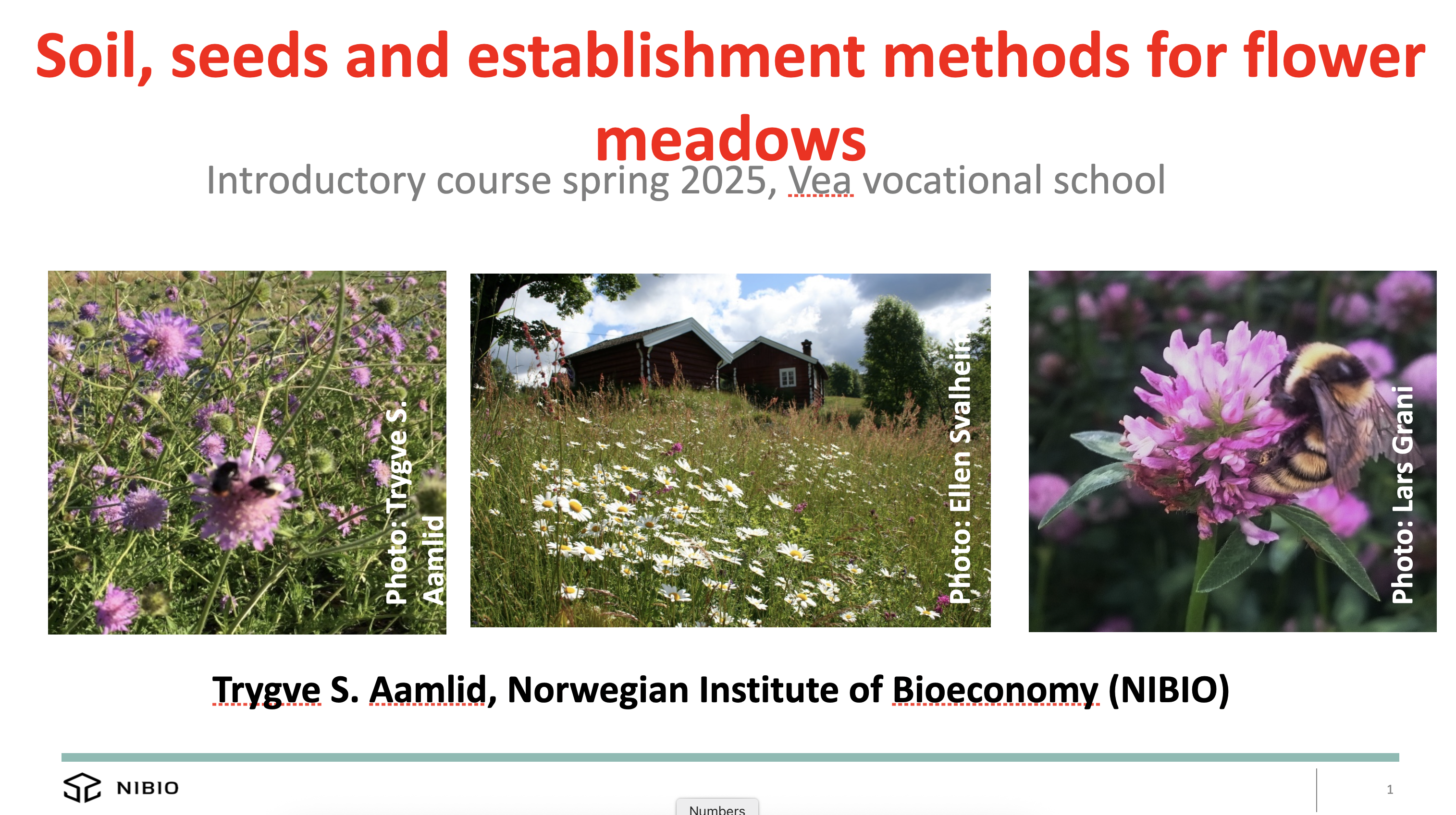 Flower Meadows - Part 2