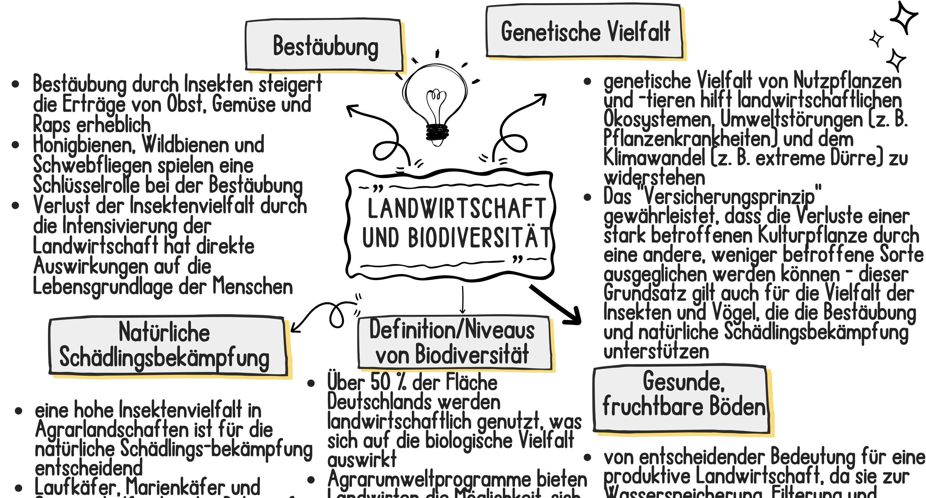 Konzeptkarte Landwirtschaft Biodiversität - ausgefüllt